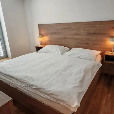 Apartment Muslovske Vinohrady *